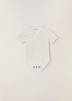 Body Little Numbers