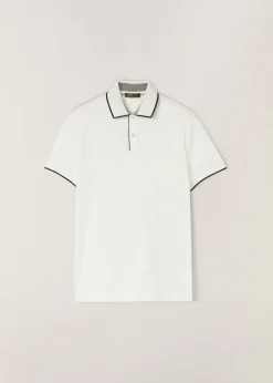 Polo Brentwood