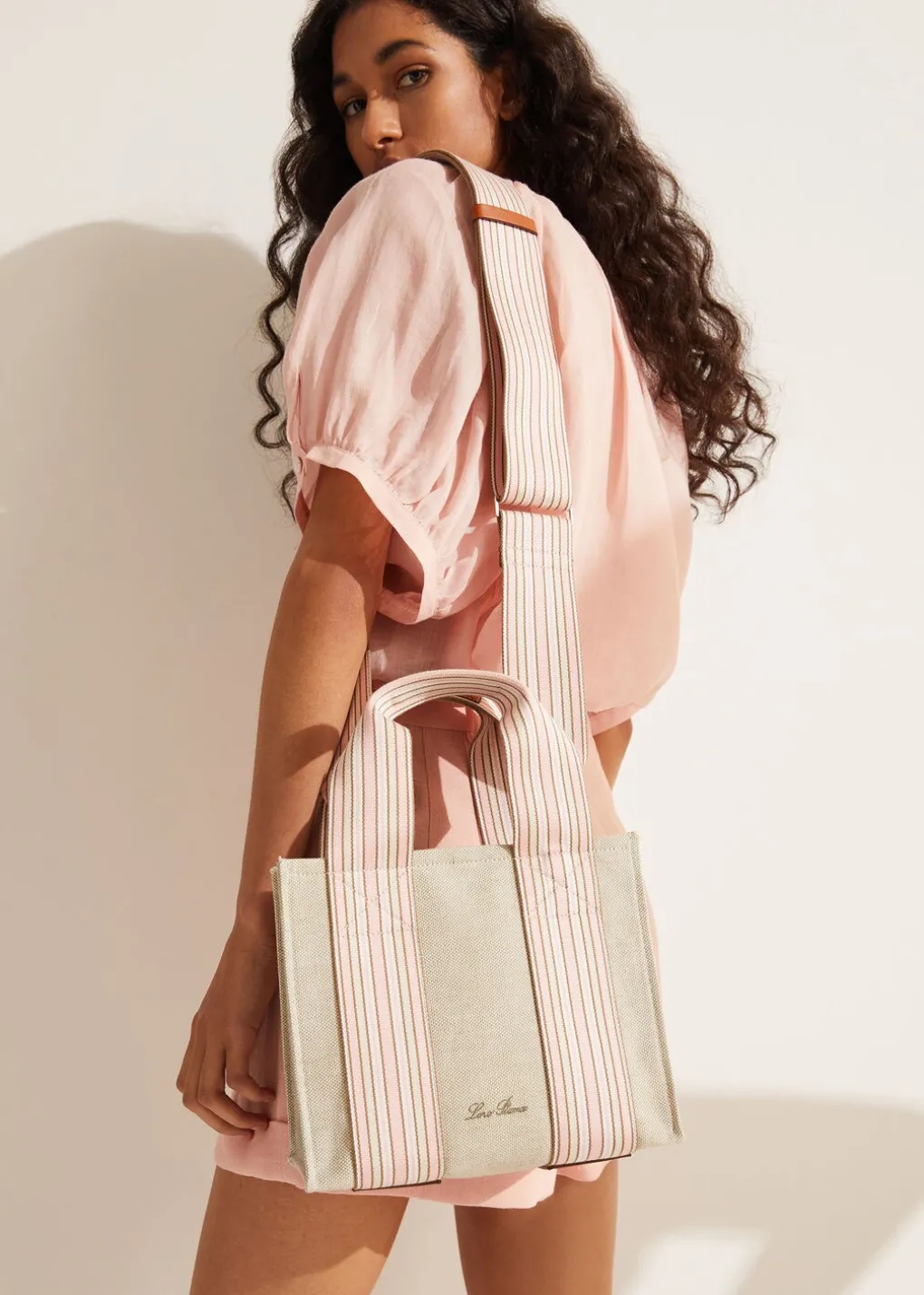 The Suitcase Stripe Mini